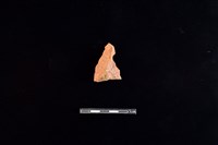 藏品(連杯形器)的圖片